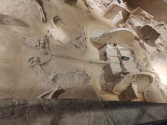 -洛阳周王城天子驾六博物馆