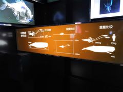 -同济大学四平路校区深海探索馆