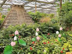 -南宫五洲植物乐园