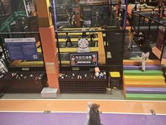 -Tenker Club弹刻极限主题公园 · 蹦床 · 团建 · 生日派对(大关店)