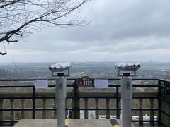 -上海佘山国家森林公园天马山园