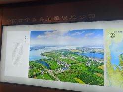 -太湖雪蚕桑文化园