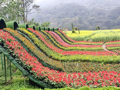-广州市石门国家森林公园