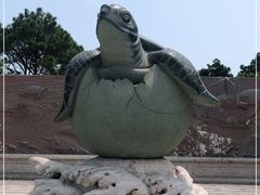 -广东惠东海龟国家级自然保护区