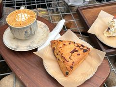 -自由生长植物工作室(深港花卉中心店)