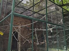 -石排湾郊野公园