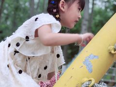 -合肥滨湖国家森林公园