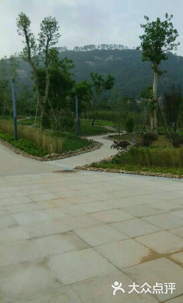 草庵寺图片 - 第75张