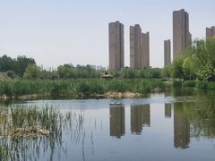 -前关湿地公园