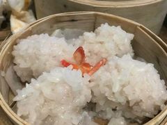 -丝恋丝娃娃(逸天城国贸店)