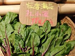 -上海K11购物艺术中心