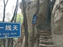 -六里坪国家森林公园