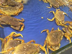 -三亚火车头万人海鲜广场