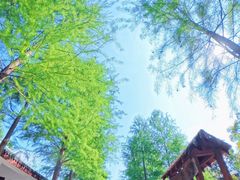 -柳鹭田园区