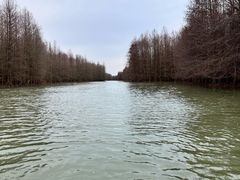 -上海海湾国家森林公园