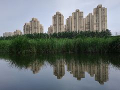 -前关湿地公园