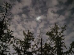 -汉长安城未央宫国家考古遗址公园