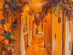 -叶叶菩提(太原别墅店)