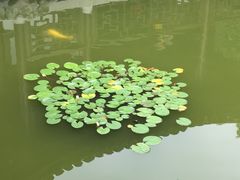 -嘉定博物馆