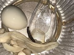 -小草糖水(海棠村店)