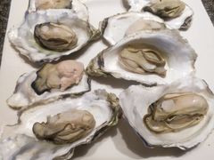 -渔民船说·北塘海鲜·天津菜·海肠捞饭(北塘古镇店)