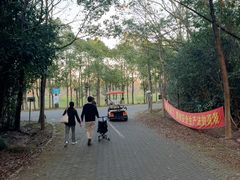 -上海海湾国家森林公园