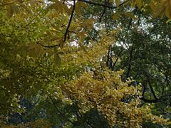 -香山公园-东宫门售票处