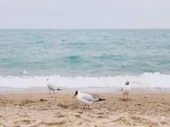 -青海湖二郎剑景区