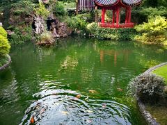 -上海虹桥宾馆味翠餐厅