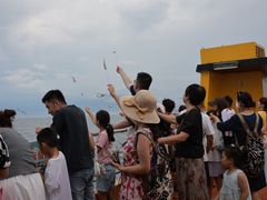 -海驴岛(荣成市)