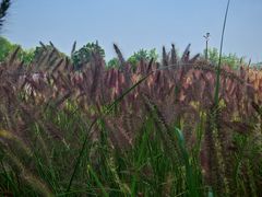 -汉长安城未央宫国家考古遗址公园