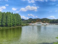 -星湖旅游景区七星岩
