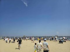 -碧海金沙