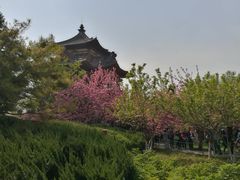 -西安青龙寺遗址景区