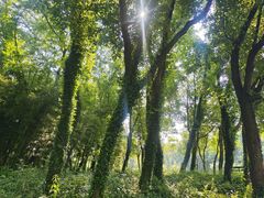 -白塔湖国家湿地公园