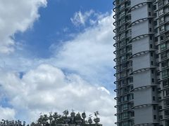 -苏州河梦清园环保主题公园