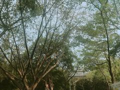 景点-南国桃园旅游度假区