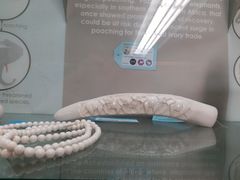 -纽瓦克自由国际机场