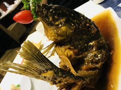 糖醋鲤鱼-闫府私房菜·百年鲁菜(恒隆店)