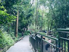 -火炉山森林公园