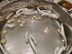 -椰小鸡·琼州糟粕醋·火锅(美兰缤纷城店)