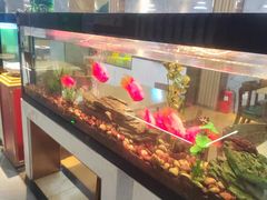 -水立方国际汤泉(六一中路店)