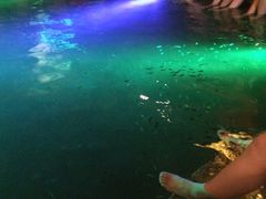 -宝丽金大酒店·洗浴中心