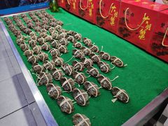 -盒马鲜生(文景博乐里购物广场店)