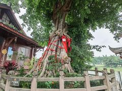 -黄龙溪古镇