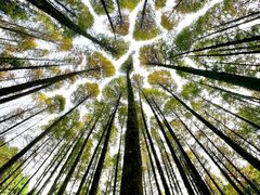 -山王坪喀斯特国家生态公园