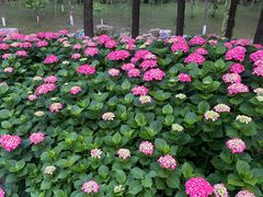 -狼山风景名胜区