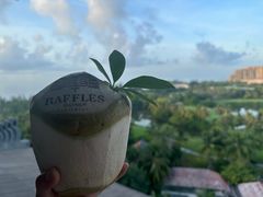 -海南清水湾莱佛士酒店