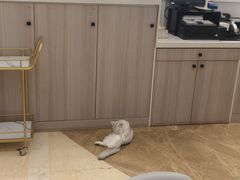-丽达购物中心(崂山店)