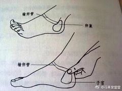 -天琥教育(重庆江北观音桥校区)